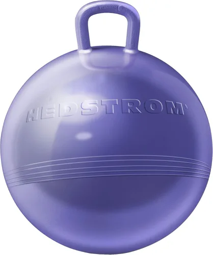Miniatura 9 de Hedstrom Pelota Saltarina Azul de 15
