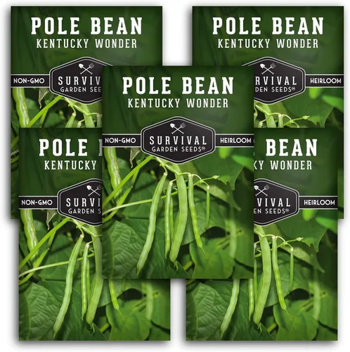 Miniatura 12 de Semilla de judía polera Kentucky Wonder para plantar - 1 paquete con instrucciones para plantar y cultivar judías verdes en tu jardín de hortalizas