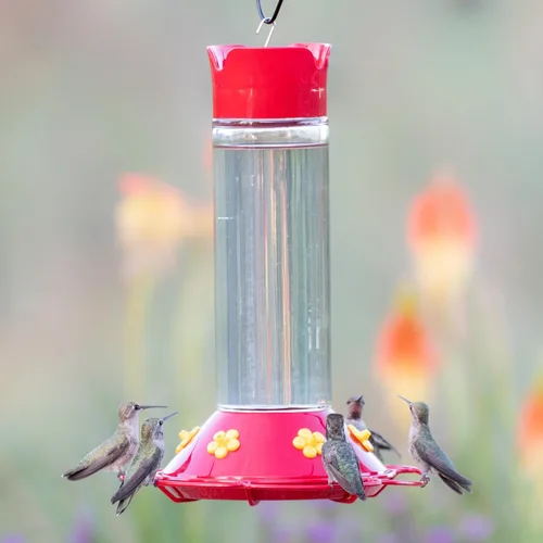 Miniatura 13 de Perky-Pet 209B-1SR - Comederos de vidrio para colibríes para colgar en exteriores, capacidad de néctar de 30 onzas líquidas, comedero para pájaros