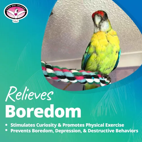 Miniatura 7 de Super Bird Creations SB324 colorido cuerda de algodón Bungee Bird juguete, tamaño mediano pájaro, 3/4" diámetro x 66