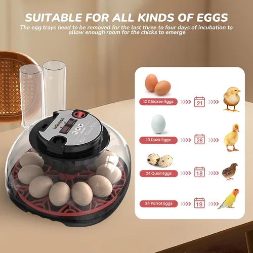 Miniatura 2 de Incubadora de 12 huevos para incubar huevos de pollo, codorniz/pato, giro automático, control digital de humedad/temperatura, vela LED, recarga Onyx