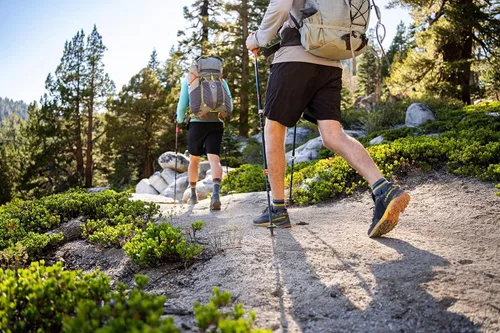 Miniatura 4 de Swiftwick - Calcetines FLITE XT TRAIL FIVE, para correr y senderismo
