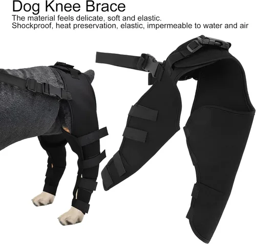 Miniatura 4 de Soporte de rodilla ajustable para perros, recuperación de piernas traseras y protección articular