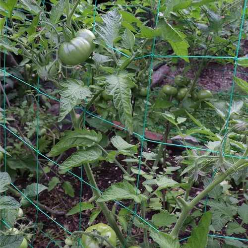 Miniatura 5 de Red de enrejado para plantas trepadoras, red de enrejado de jardín resistente para pepino, vid, frutas y verduras, plantas de tomate, red