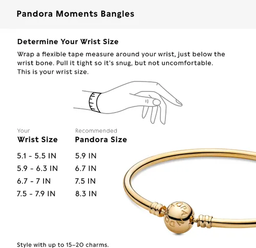 Miniatura 18 de Pandora Moments - Brazalete con cierre de bola para mujer, dijes compatibles con momentos, pulsera con dijes
