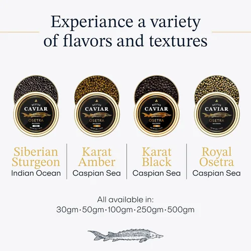 Miniatura 10 de Royal Beluga Hybrid Sturgeon Black Caviar Gift Set 8.8oz/250g de Italia, clasificado como el mejor caviar negro del mundo, colección de lujo