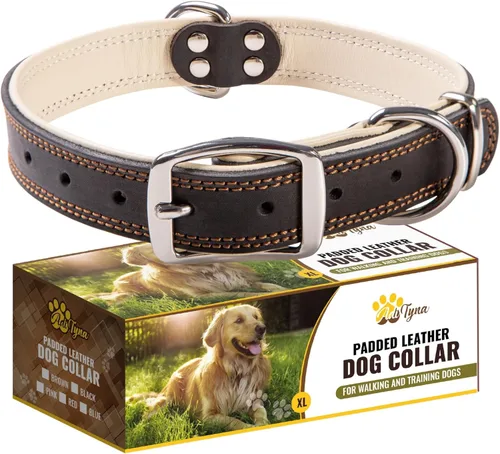Miniatura 9 de ADITYNA Collar de perro de cuero rosa resistente para perros grandes, forrado con cuero suave, collar de perro para caminar, entrenar y senderismo