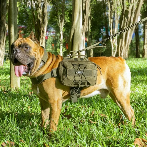 Miniatura 8 de EXCELLENT ELITE SPANKER Paquete de mochila para perros, mochila para camping, senderismo, perro mediano y grande con 2 bolsillos laterales Negro
