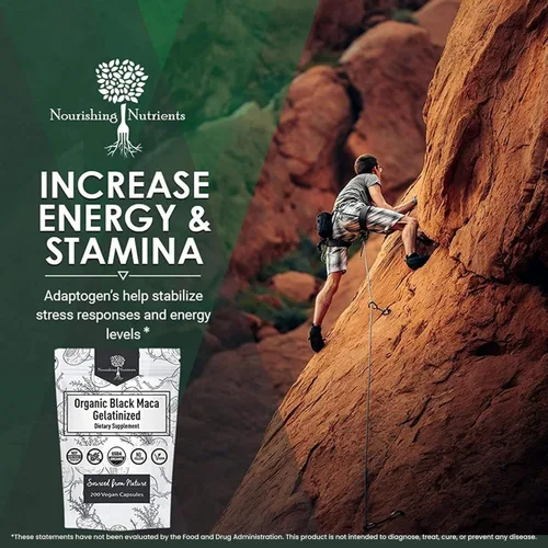 Miniatura 4 de Maca negra gelatinizada orgánica 3 veces más fuerte, 200 cápsulas para hombres y mujeres, suplemento energético natural para concentración