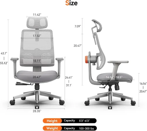 Miniatura 2 de Newtral Silla de oficina con soporte lumbar, silla de escritorio ergonómica de respaldo alto con reposacabezas ajustable, reposabrazos 3D, Gris