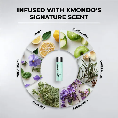 Miniatura 4 de XMONDO Hair Hydraglow acondicionador hidratante Fórmula vegana con aceites de jojoba, argán y moringa para bloquear la humedad, controlar