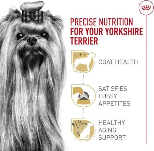 Miniatura 4 de Royal Canin Breed Health Nutrition Yorkshire Terrier - Alimento seco para perros adultos, bolsa de 2.5 libras