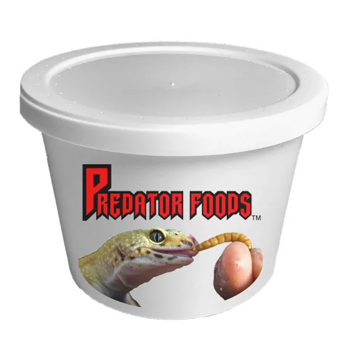 Predator Foods Gusanos de harina vivos a granel - 500 unidades (grande - ~.75 pulgadas)