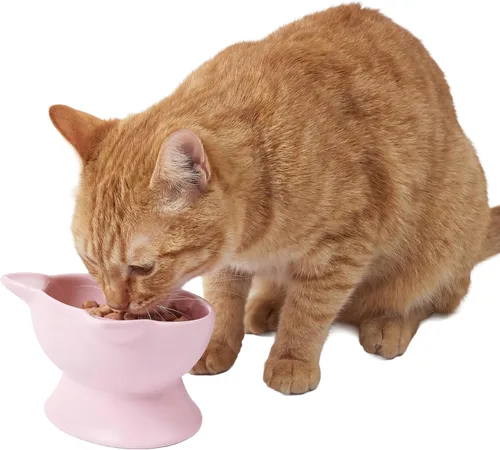 Kitty City Elevated Cat Bowls (Set of 2), Whisker-Friendly Raised Cat Food & Water Dishes, Modern Pedestal Design, Dishwasher Safe, 6.5 oz Each –