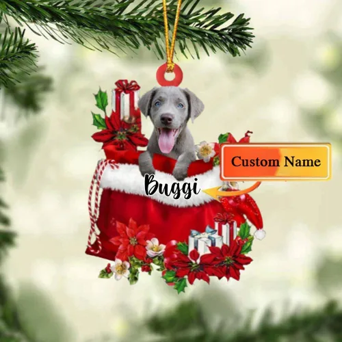 Miniatura 99 de Perro Akita Inu personalizado en bolsa de regalo, adorno de Navidad, nombre personalizado, regalo para amantes de los perros, familia, Navidad