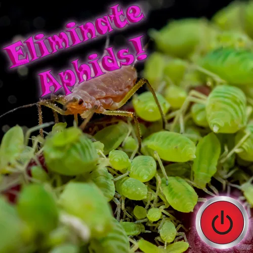 Miniatura 4 de Npk Mighty de 7 galones (Mi Etiqueta)