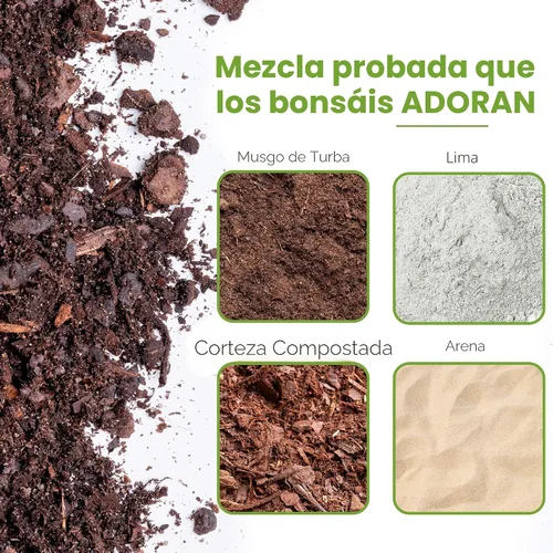 Miniatura 2 de Tierra para bonsái de Perfect Plants - 2qts. Mezcla premium multiusos para variedades de árboles bonsái