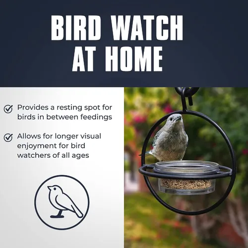 Miniatura 3 de Monarch Abode Comedero colgante para pájaros al aire libre – Comedero colgante Zazu con cuenco de vidrio transparente y percha de metal para pájaros