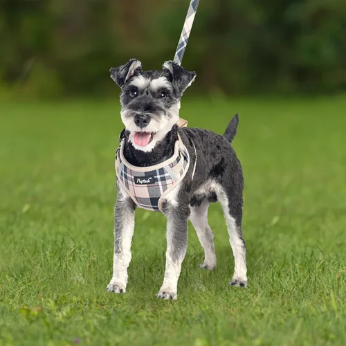Miniatura 7 de PUPTECK Juego de arnés y correa para perro pequeño, arnés ajustable sin tirones para cachorro, chaleco de malla suave reflectante para mascotas
