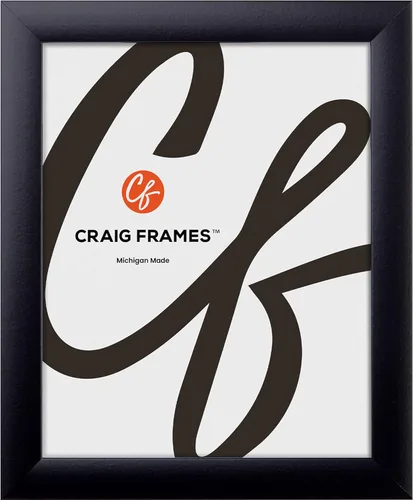 Miniatura 12 de Craig Frames Marco de fotos contemporáneo, 9 x 12 pulgadas, color blanco