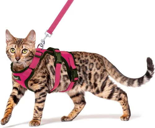 Miniatura 12 de PUPTECK Juego de arnés y correa para gato a prueba de escape para caminar, chaleco de malla transpirable arnés ajustable para gatos cachorros Negro