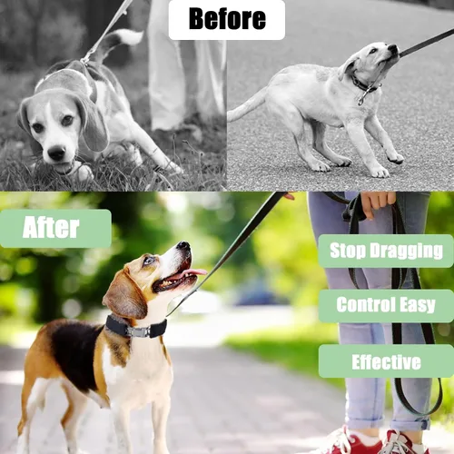 Miniatura 4 de Collar de entrenamiento para perros, collar ajustable para perros con hebilla de liberación rápida, collar sin tirones para perros pequeños