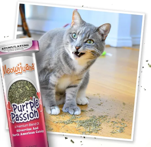 Miniatura 8 de Meowijuana Paquete de hierba gatera seca triturada prémium Purple Passion, Whisker Ticker, y Paw Natural Orgánica Alta potencia Juguetes