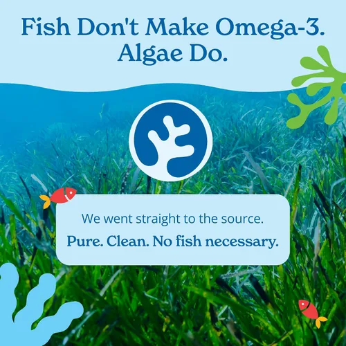 Miniatura 4 de Calgee Suplemento de algas Omega 3, 450 mg de DHA y EPA, sin carragenano y sin sorbitol, cápsulas blandas veganas, probadas por terceros