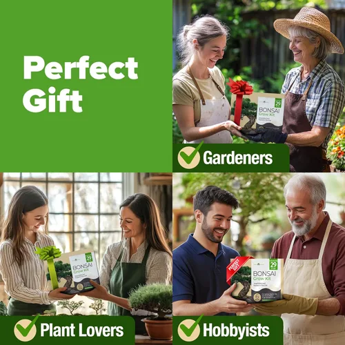 Miniatura 6 de HOME GROWN Kit de árbol bonsái – 6 variedades heredadas con macetas únicas – Kit de inicio de bonsái DIY para adultos y principiantes – Regalo