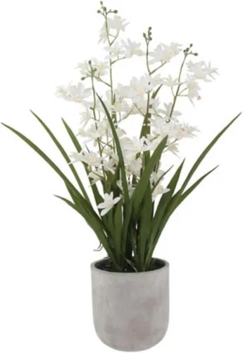 Miniatura 13 de CG Hunter Planta de orquídea sintética con suculentas, soporte de exhibición de flores artificiales de alta calidad para interiores de 23 pulgadas