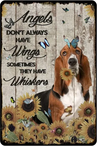 Cartel de hojalata vintage con texto en inglés «Angels Don't Always Have Wings Sometimes They Have Whiskers» («Angels Don't Always Have Wings
