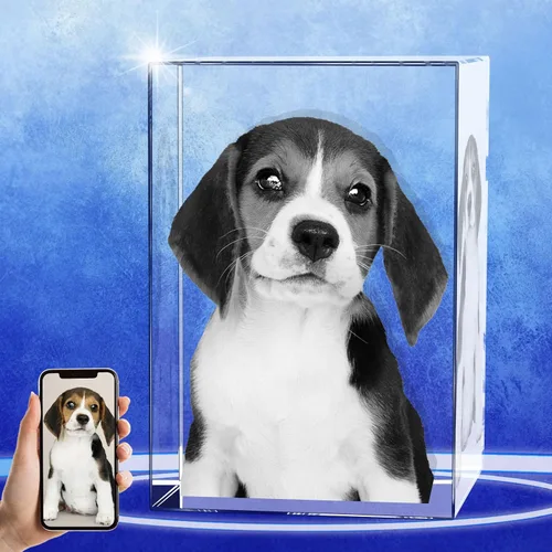 Miniatura 10 de Regalos conmemorativos personalizados para mascotas, marco de fotos de cristal 3D de perros o gatos, marco de fotos grabado con láser personalizado
