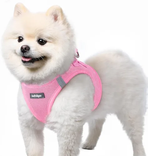 Miniatura 96 de rabbitgoo Arnés para perro pequeño, chaleco de malla suave para cachorros con hebilla de seguridad, arnés reflectante transpirable para mascotas