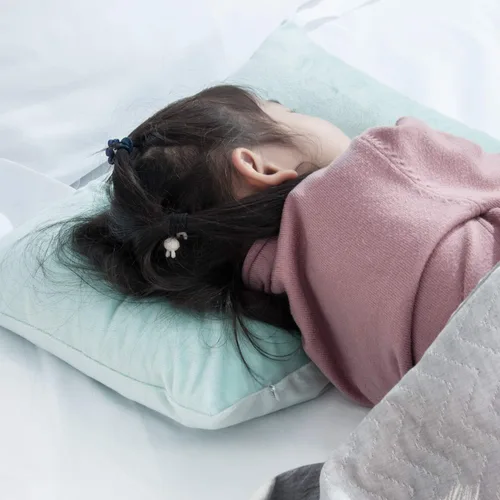 Miniatura 2 de NTBAY - Fundas de almohada de terciopelo con cierre para niños pequeños, 2 unidades, acogedoras, de lujo, de franela y felpa, para viajes, 33 x 46