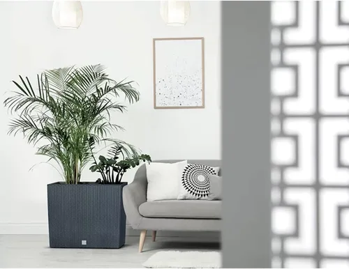 Miniatura 3 de Prosperplast Maceta para caja de tiempo Balcón, Dimensiones (mm) 580x180x498, Blanco, Plástico Ratán