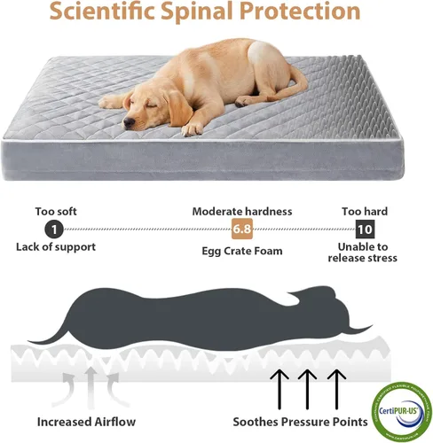 Miniatura 3 de WNPETHOME Cama Ortopédica para Perros para Jaula, Cama Impermeable Extra Grande para Perros con Funda Lavable Extraíble, Camas para Jaula de Perros