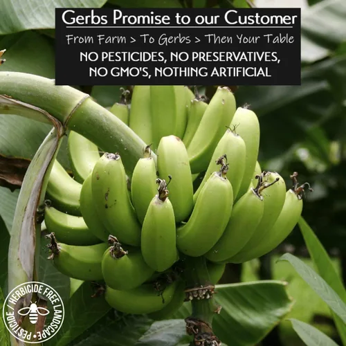 Miniatura 2 de Frutas secas GERBS, Top 14 libres de alergia alimentaria, sin sulfuro, sin conservantes, sin OMG, vegano