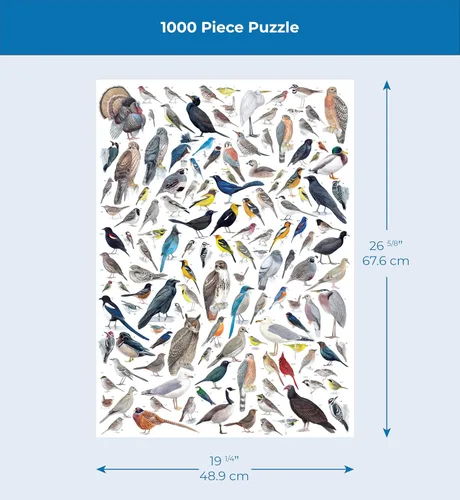 Miniatura 4 de New York Puzzle Company - Cornell Lab Birds of Eastern/Central North America - Rompecabezas de 1000 piezas para noches de juego familiares por Pedro