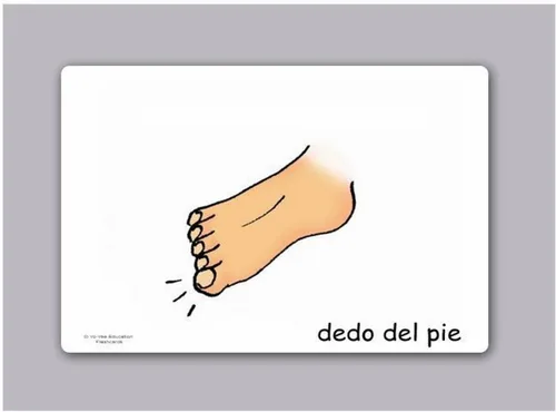 Miniatura 5 de Tarjetas de vocabulario -Partes del Cuerpo - Tarjetas de carrocería en español para niños pequeños de 2 a 4 años, niños y adultos