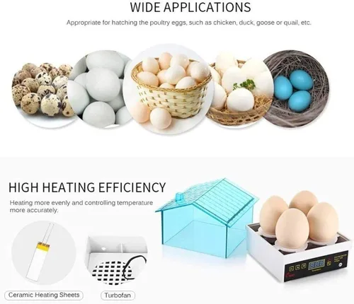 Miniatura 5 de Incubadora de huevos para incubar huevos, incubadoras de pollo, mini incubadoras digitales automáticas para incubar huevos, codornices patos