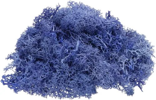 Miniatura 11 de uxcell Musgo de reno preservado, musgo falso de 4 onzas para manualidades, musgo seco artificial para decoración, manualidades, terrarios, plantas