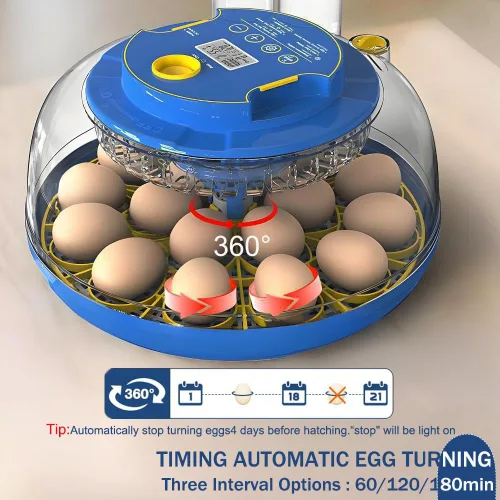 Miniatura 3 de Incubadora de 18 huevos con giro automático de huevos y control de humedad, recarga de agua, vela de huevos, incubadoras para incubar pollo, patos
