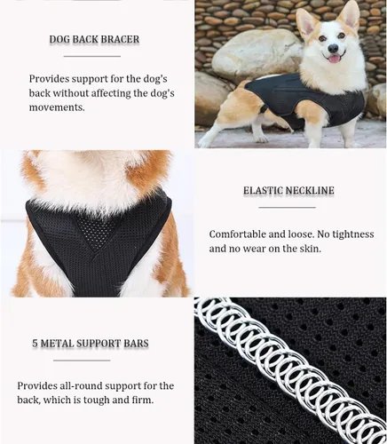 Miniatura 4 de IVDD - Soporte de espalda para perros, chaleco flexible de apoyo de espalda de perro salchicha para mascotas, soporte de espalda para mascotas