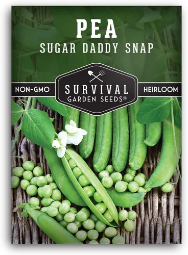 Miniatura 10 de Survival Garden Seeds - Semilla de guisante Sugar Daddy Snap para plantar - 3 paquetes con instrucciones para plantar y cultivar en deliciosas