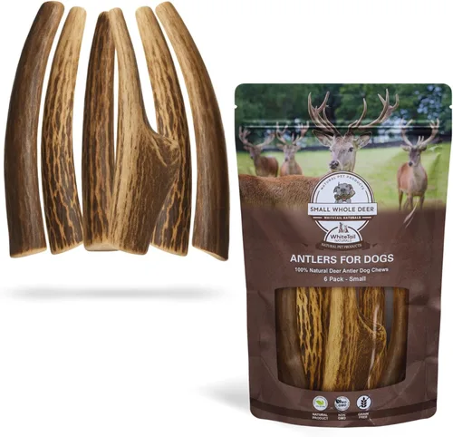 Miniatura 16 de Whitetail Naturals - Paquete de 3 masticables medianos para perros con cuernos de ciervo - Cuernos para perros medianos - Huesos de perro