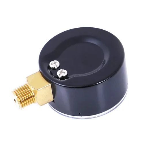 Miniatura 5 de 1/4" NPT Medidor de presión de acero de 300 psi, económico, con escala de 2" y montaje inferior, con interior de latón
