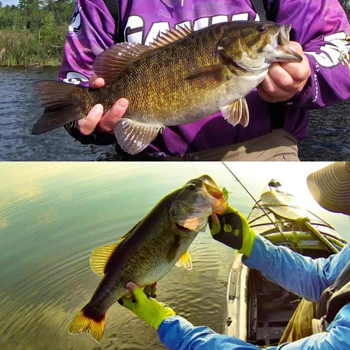 Miniatura 7 de YZD Bass Popper - Kit de moscas de pesca en seco - Panfish Bass Fishing Topwater Bait (Kit de popper 2)