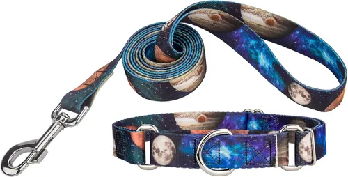 Miniatura 8 de Country Brook Petz - Collar y correa azul Super Dog Martingale - Colección Geek Chic con diseños para cualquier mega fan (1/2 pulgada, 2XS)