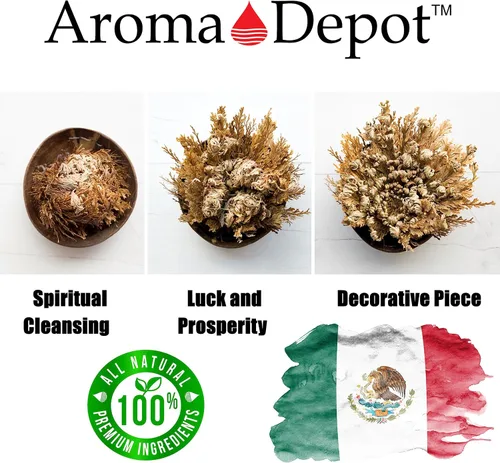 Miniatura 4 de ONE - Flor de Jericó Flor de Jericó - Planta de Resurrección Selaginella Lepidophylla Rosa Seca I Rosa Sagrada I Planta Doradilla 2.5