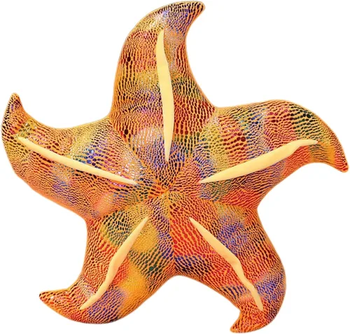 Miniatura 10 de Almohada de estrella de mar para sofá, cojín de suelo, almohada para el hogar (3.1 x 7.9 in, azul)